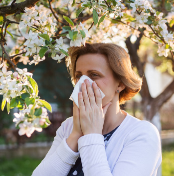 Spring Pollen
