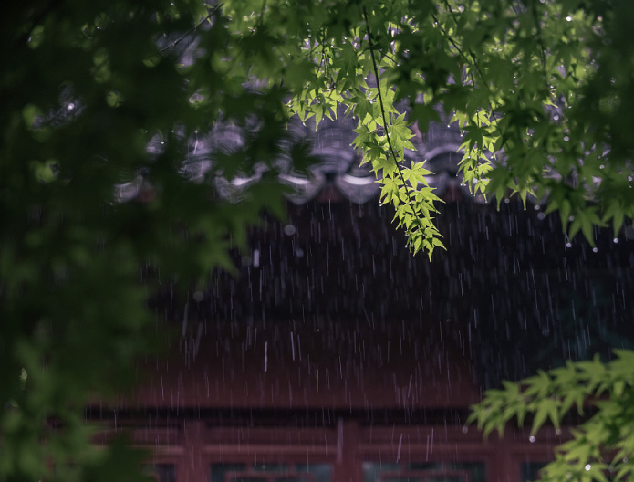 霉烂变质